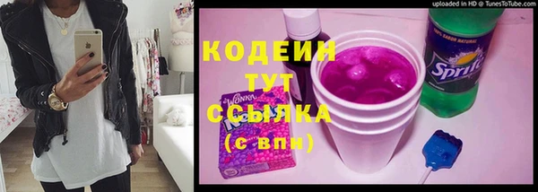 гашик Арсеньев