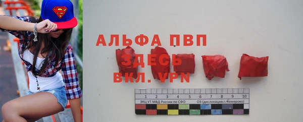 гашик Арсеньев