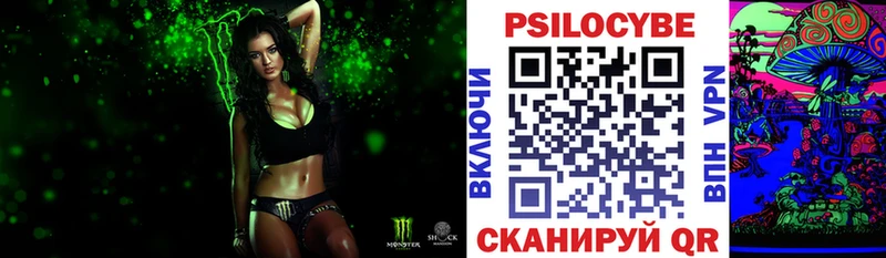 нарко площадка официальный сайт Дорогобуж Псилоцибиновые грибы GOLDEN TEACHER