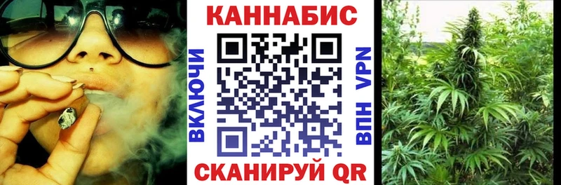 Шишки марихуана сатива  Дорогобуж 